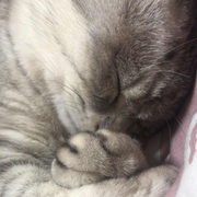 Vivi君40144的个人资料头像