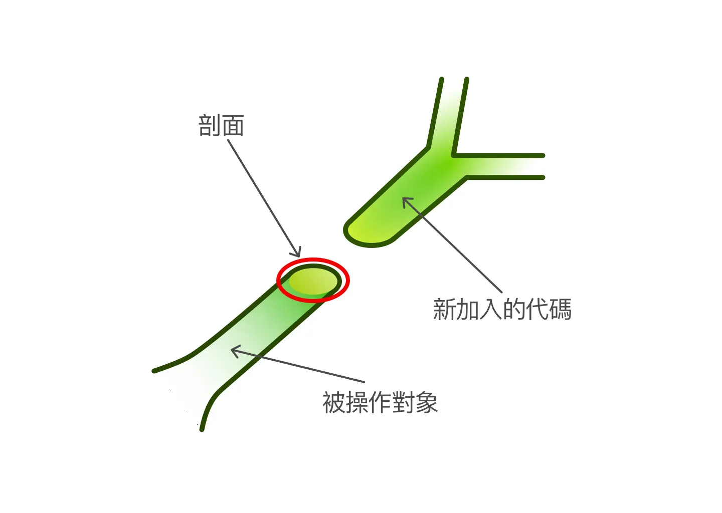 植物嫁接 v.s. AOP