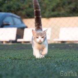 程序员鼓励喵于2019-03-12 09:09发布的图片