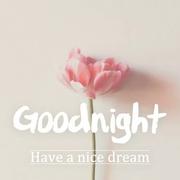 Miss_Crystal的个人资料头像