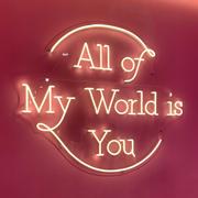 candycandy的个人资料头像