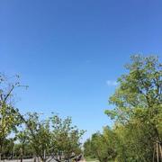 Harvie_Z的个人资料头像