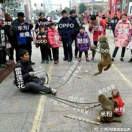清卯于2019-03-13 11:17发布的图片