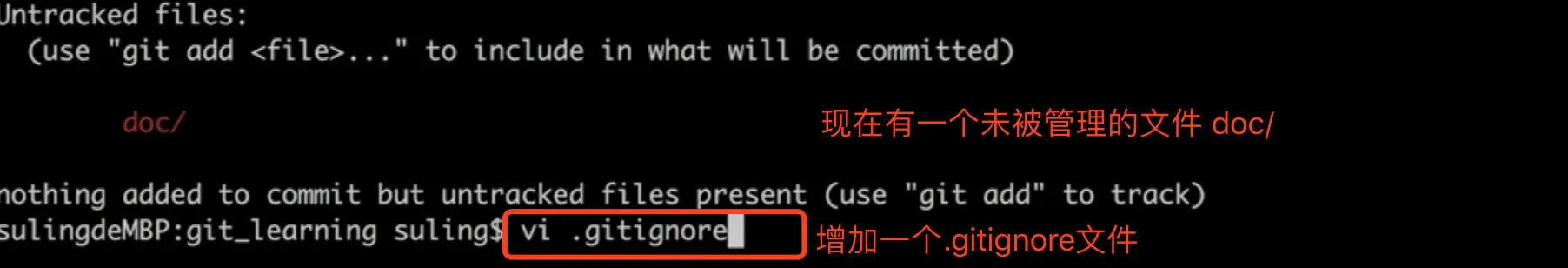 image-20190312163655898