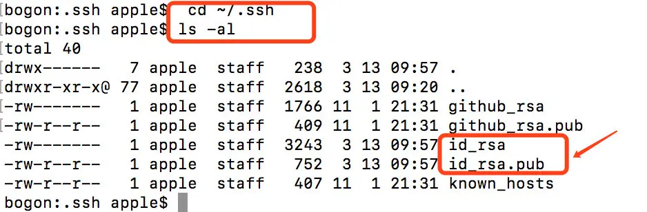 image-20190313100221581