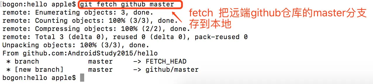 image-20190313113532027