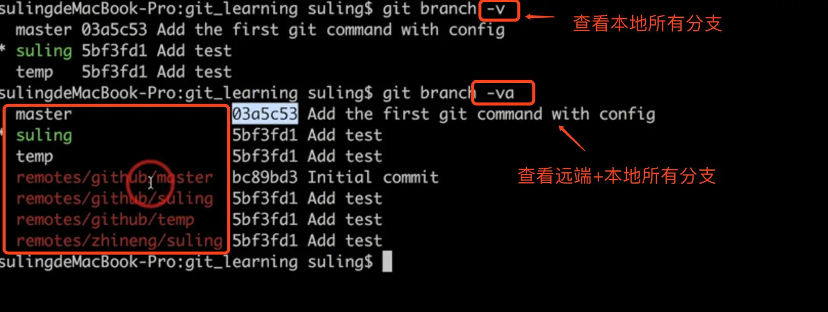 image-20190313111035200