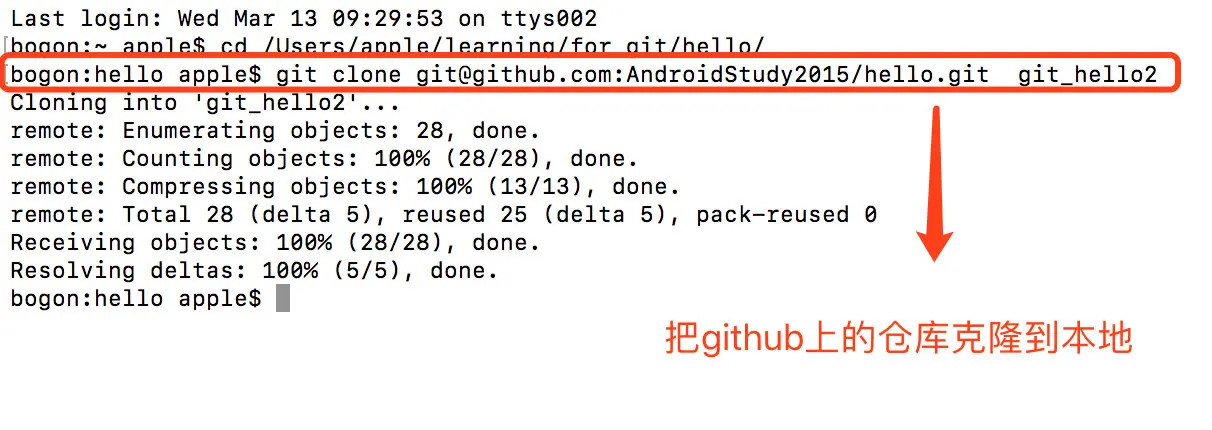 image-20190313133750565