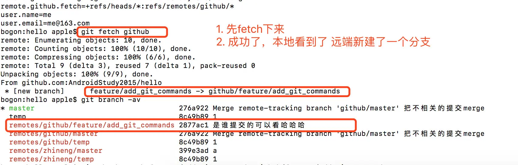 image-20190313150802165