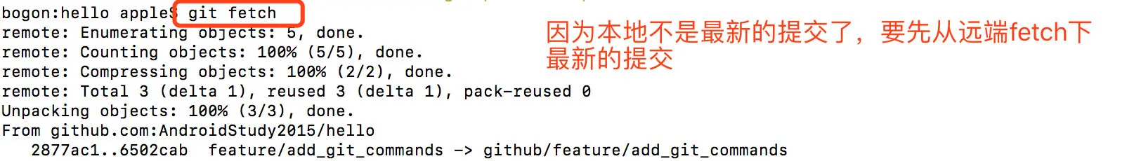 image-20190313155851453