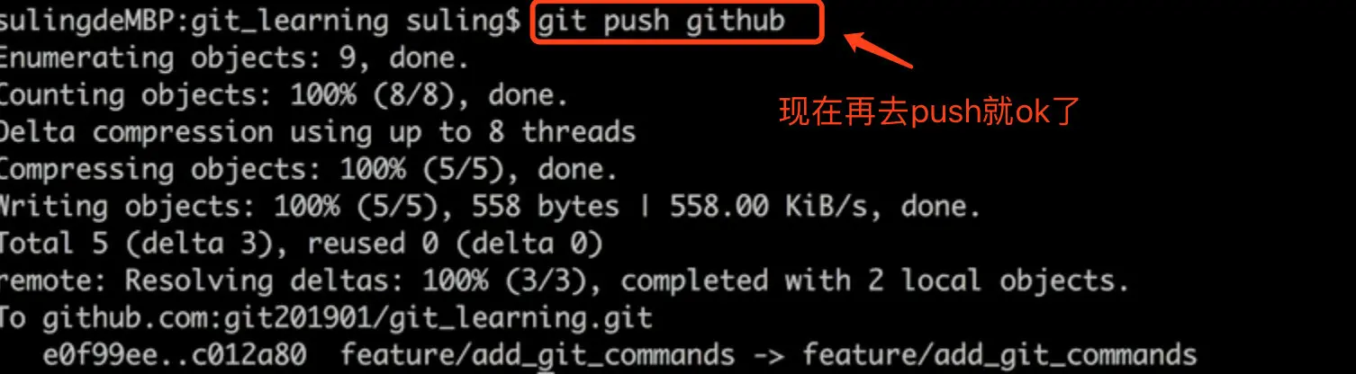 image-20190313160425841