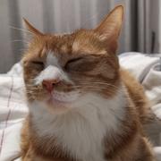 闫琪的个人资料头像