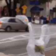 沙雕动图于2019-03-13 18:36发布的图片