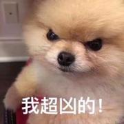 黑白奥利奥的个人资料头像