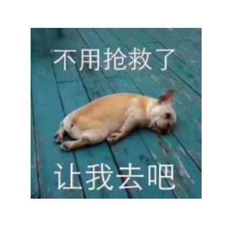 紫麟于2019-03-14 12:09发布的图片
