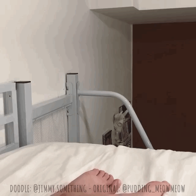 网路冷眼于2019-03-14 14:28发布的图片