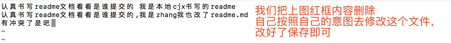 image-20190313165636680