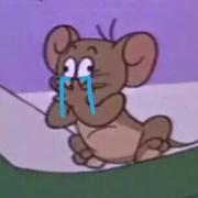 带带大湿兄的个人资料头像