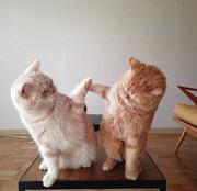 _在掘金50752的个人资料头像