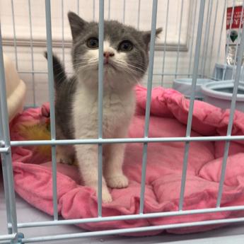 XCaptain于2019-03-15 10:02发布的图片