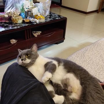 simplepeng于2019-03-15 16:16发布的图片