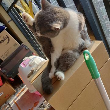 simplepeng于2019-03-15 16:16发布的图片