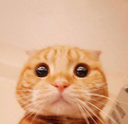 几日余生的个人资料头像