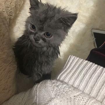 shortybin于2019-03-15 16:46发布的图片