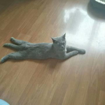 shortybin于2019-03-15 16:46发布的图片