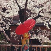 Mr96的个人资料头像