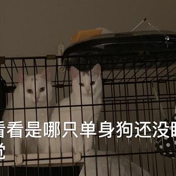 gaojin39160于2019-03-17 01:22发布的图片