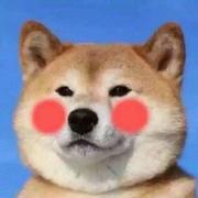 敲代码的萝卜的个人资料头像