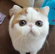 wulilei的个人资料头像