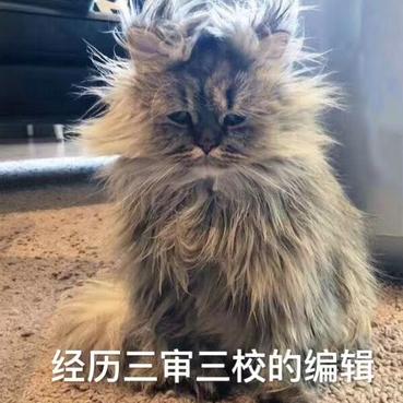 f18575357c3f11e991337bec70e8e511于2019-03-18 10:04发布的图片