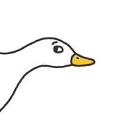 余空丶的个人资料头像