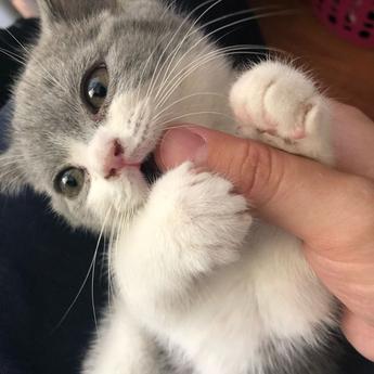 闰土掘金于2019-03-18 11:02发布的图片