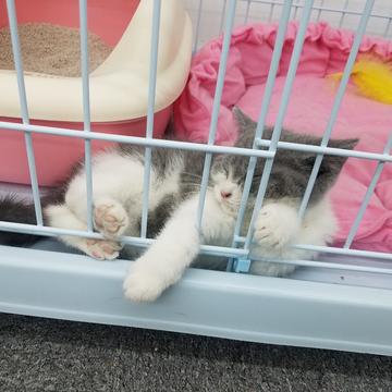 闰土掘金于2019-03-18 17:03发布的图片