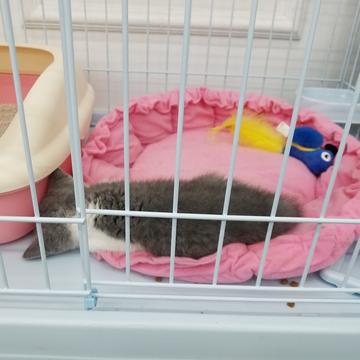闰土掘金于2019-03-18 17:03发布的图片