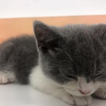 闰土掘金于2019-03-19 12:23发布的图片