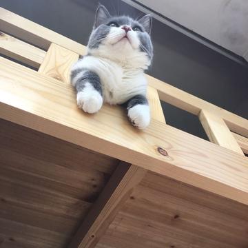 Ricbet于2019-03-19 12:56发布的图片