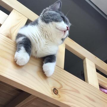 Ricbet于2019-03-19 12:56发布的图片