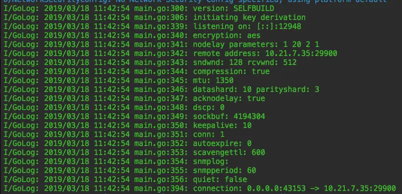 kcp client启动成功如图