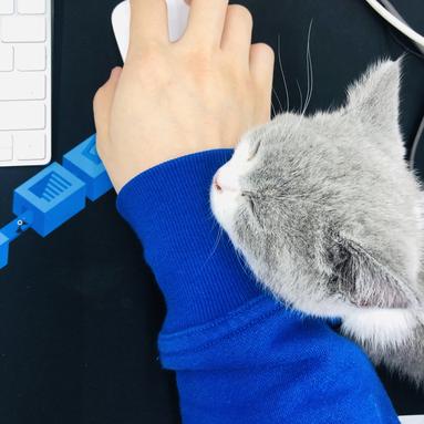 闰土掘金于2019-03-19 15:41发布的图片