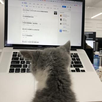 杨昕霖于2019-03-19 16:03发布的图片