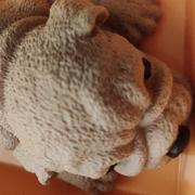 赌神之父的个人资料头像