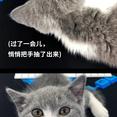 闰土掘金于2019-03-19 19:45发布的图片