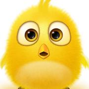 Waichung的个人资料头像