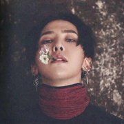 石榴君的个人资料头像