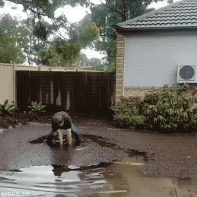 程序员趣事于2019-03-20 09:01发布的图片