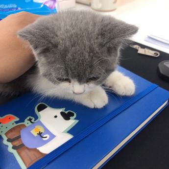 闰土掘金于2019-03-20 11:22发布的图片